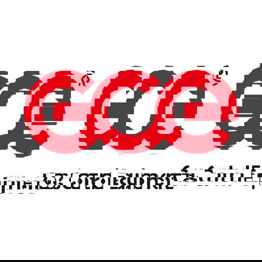 GCE - BaseControl Propan 25bar 1-stufig Flaschendruckminderer