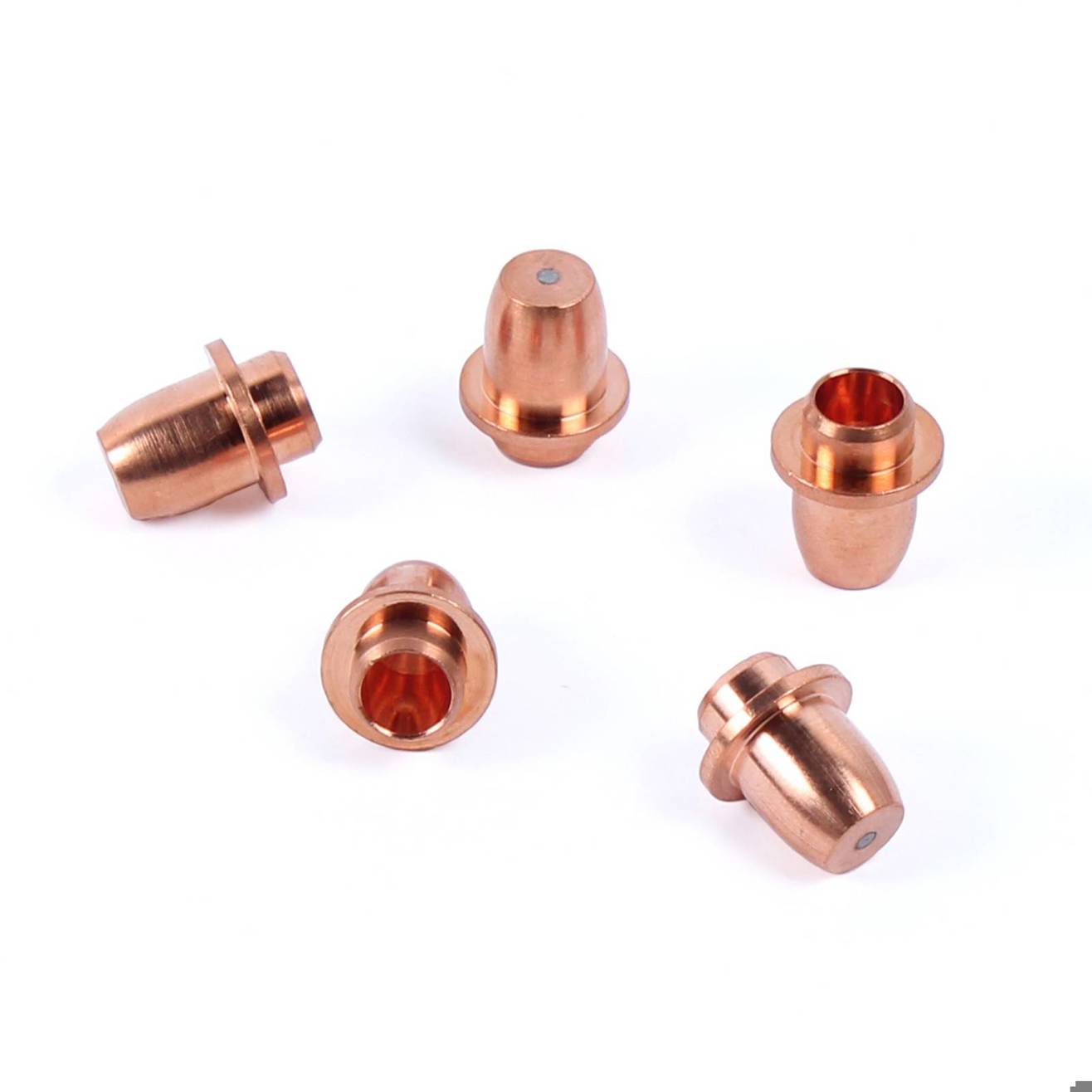 Wilpeg - Elektrode (5 Stück)